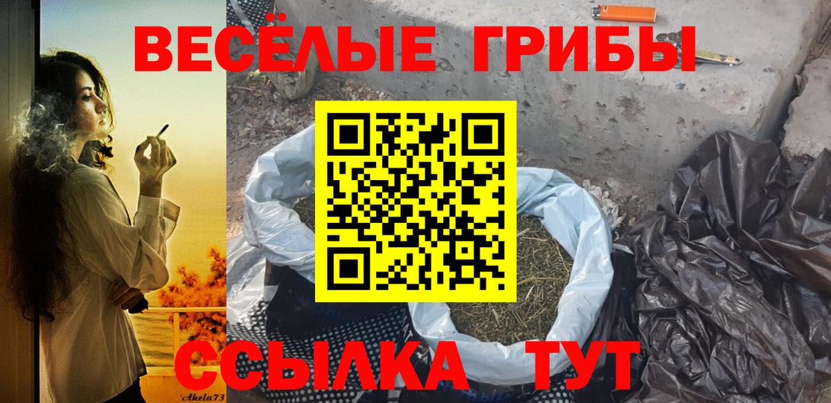 Галлюциногенные грибы Cubensis  Вход с VPN  Троицк 