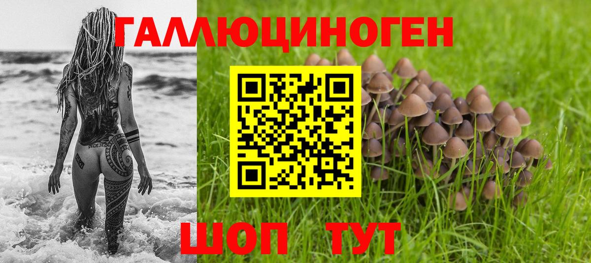 Галлюциногенные грибы прущие грибы Троицк